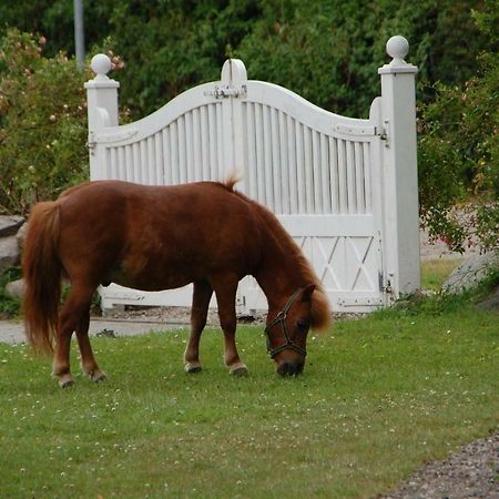Ostseepferdehof Neukirchen  Экстерьер фото