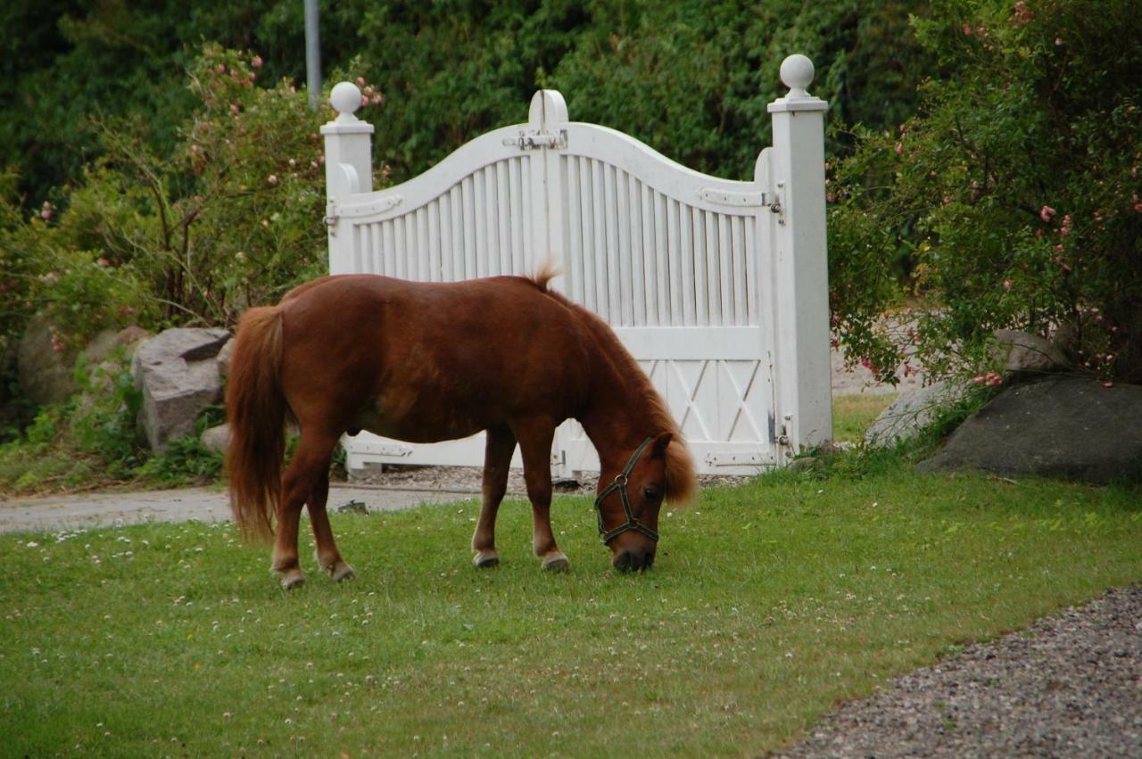 Ostseepferdehof Neukirchen  Экстерьер фото